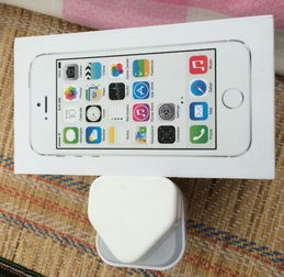 iPhone 5s原裝充電器與耳機(jī)交易指南 家電與數(shù)碼產(chǎn)品區(qū)選購技巧